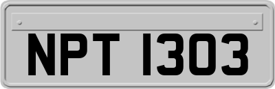 NPT1303