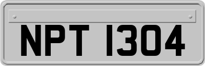 NPT1304