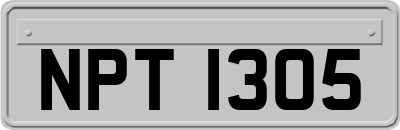 NPT1305