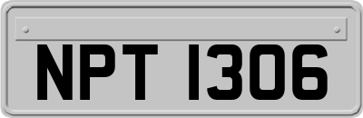 NPT1306