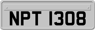 NPT1308