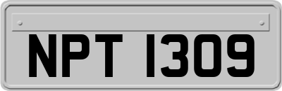 NPT1309