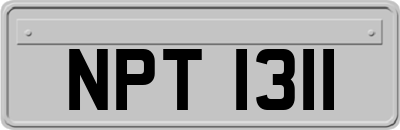 NPT1311