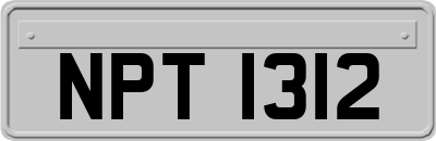 NPT1312