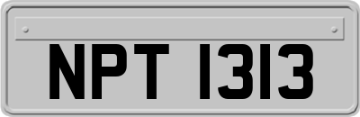 NPT1313