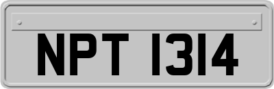 NPT1314