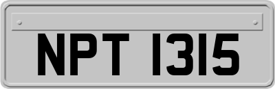 NPT1315