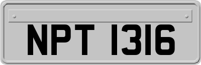 NPT1316