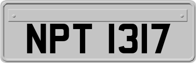NPT1317