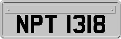 NPT1318