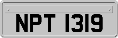 NPT1319