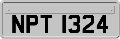NPT1324