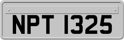 NPT1325