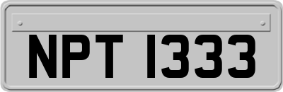NPT1333