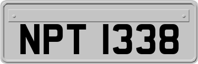 NPT1338
