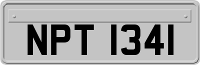NPT1341