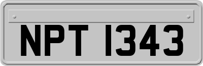 NPT1343
