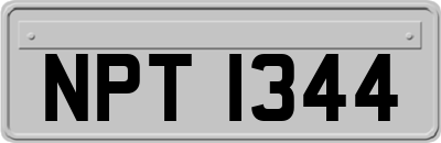NPT1344