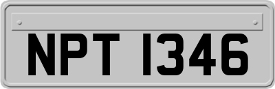 NPT1346