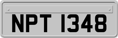NPT1348