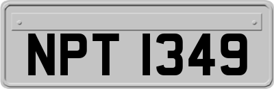 NPT1349