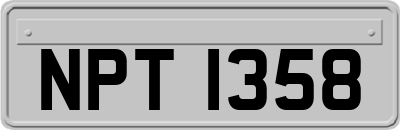 NPT1358