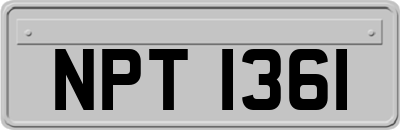 NPT1361