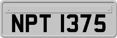 NPT1375