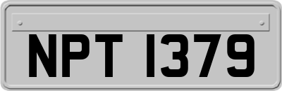 NPT1379
