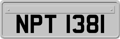 NPT1381