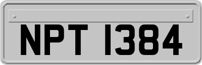 NPT1384