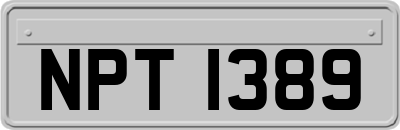 NPT1389