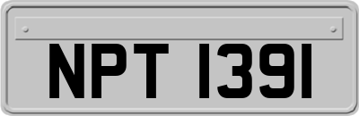 NPT1391