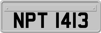NPT1413