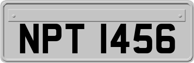 NPT1456