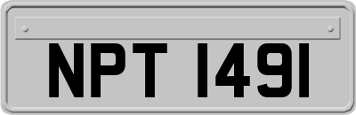 NPT1491