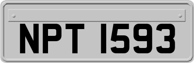 NPT1593