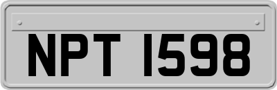 NPT1598