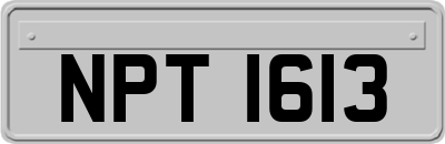 NPT1613