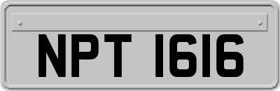 NPT1616