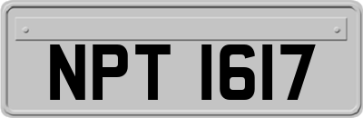 NPT1617