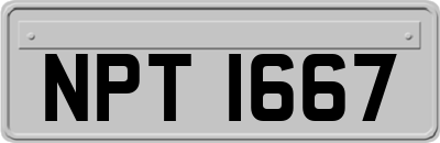 NPT1667