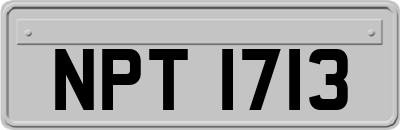 NPT1713