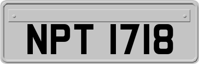 NPT1718