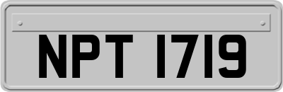 NPT1719