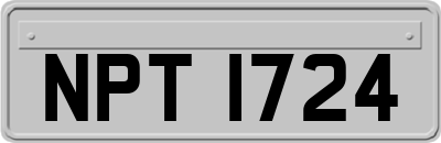 NPT1724