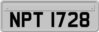 NPT1728