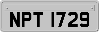 NPT1729