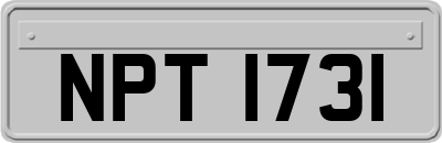 NPT1731