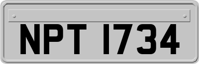 NPT1734